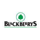 blackberrys coupons