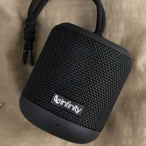 Infinity Speakers Price in India