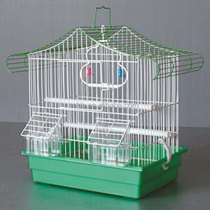 Bird Cage Under Rs.500