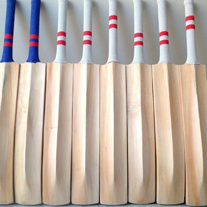 Cricket Bat below 500