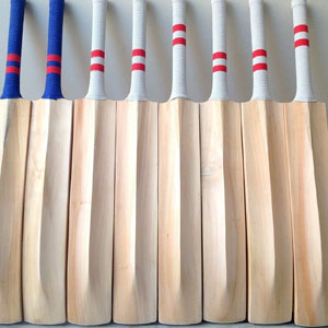 Cricket Bat below 500