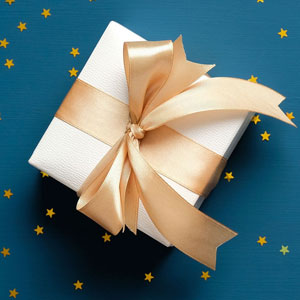 Gifts Under 500