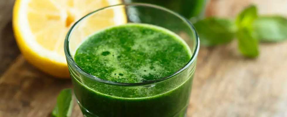Giloy Juice: A Tonic For Your Mental and Physical Health