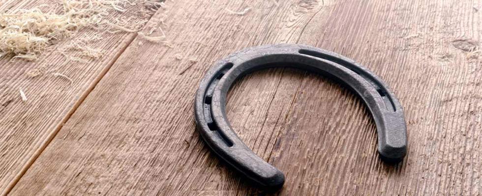 Know All About Black Horse Shoe Ring