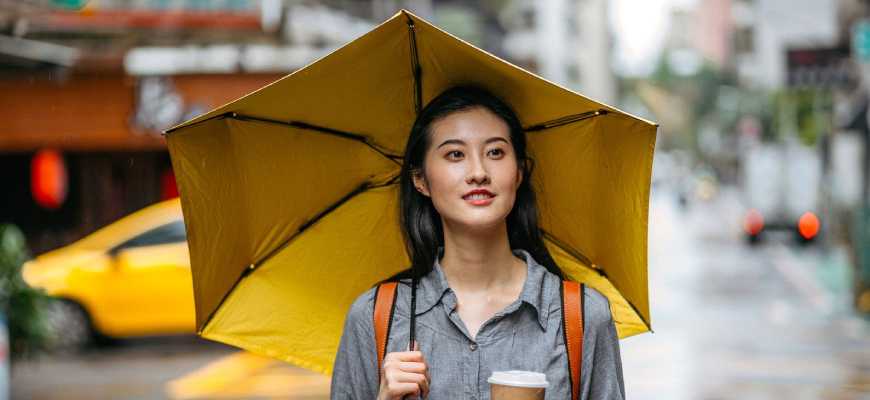 Find Your Perfect Umbrella from These Top Brands