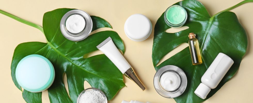 Top Indian Skincare Brands for Your Routine