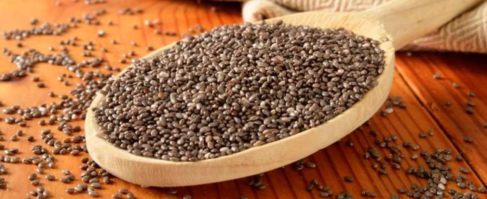 Best Chia Seeds Brands in India: Saddle The Force of Nature