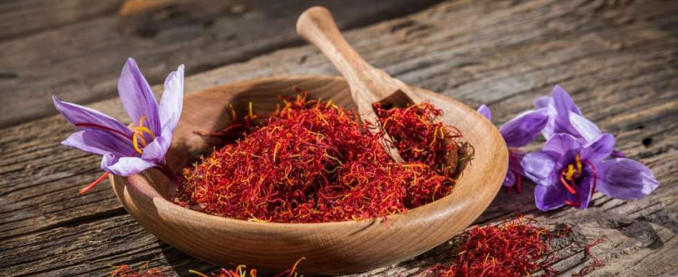 Top Saffron Brands in India: Unveiling the True Essence of Exquisite Flavor and Aroma
