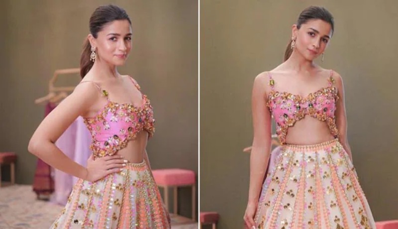 Alia Bhatt Butterfly Blouse Design