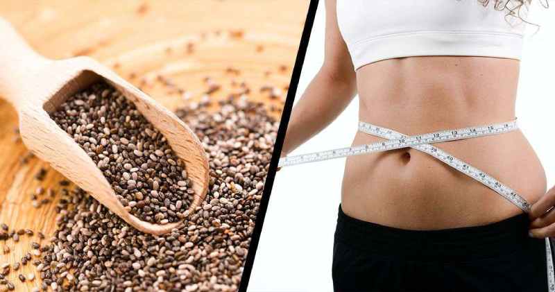 Best Chia Seed For Weight Loss