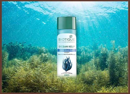 Biotique Bio Kelp Protein Shampoo