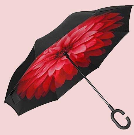 C-shaped umbrella