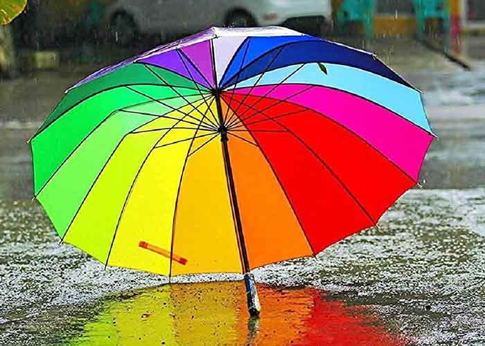Designer umbrella