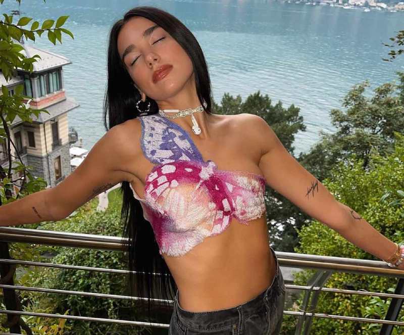 Dua Lipa Butterfly Blouse Design