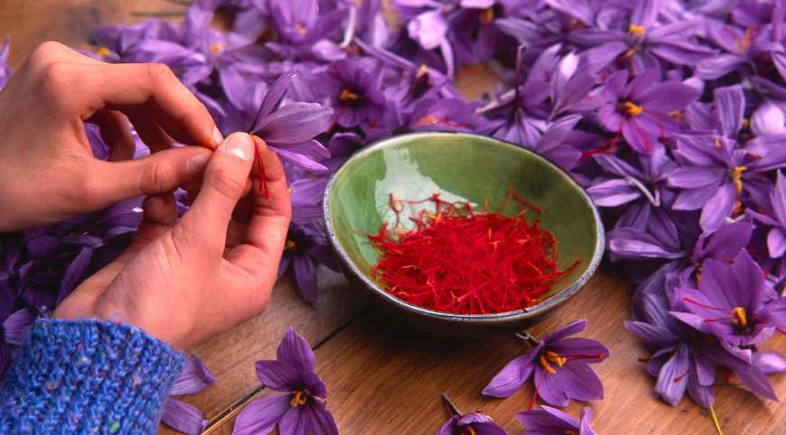 Health Benefits of Saffron