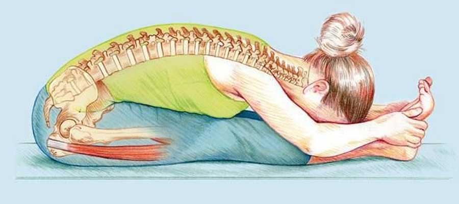 paschimottanasana steps for beginners