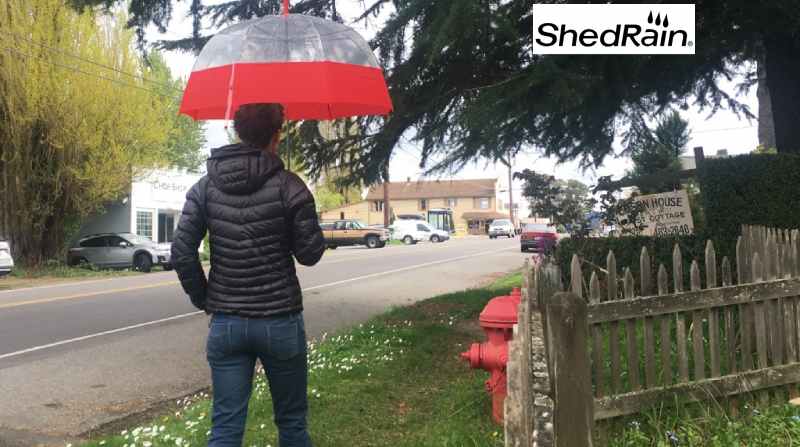 ShedRain