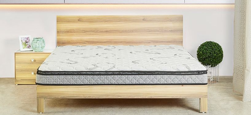 Spinetech Air Mattress