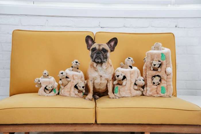 The Outward Hound Hide-A-Squirrel Puzzle Toy