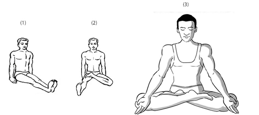 padmasana easy steps for beinners