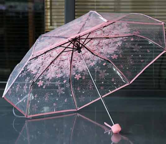 Transparent umbrella