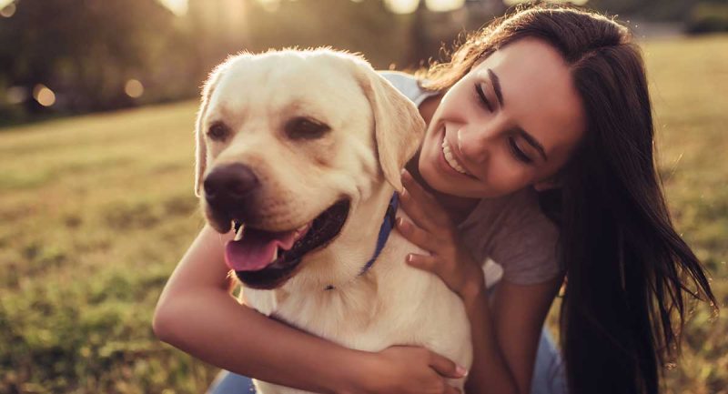 Why Should One Have A Labrador In The Family?
